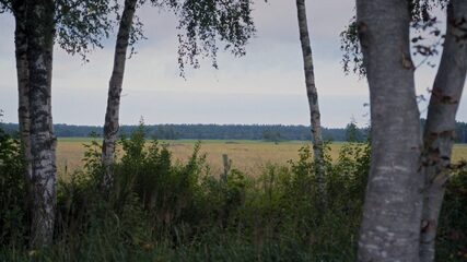 Tanel and chickens. Season 3. (thumbnail 24)