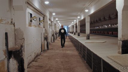 Tanel and chickens. Season 3. (thumbnail 5)